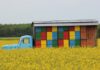 Czy można postawić ule w lesie? Czy można postawić ule w lesie?