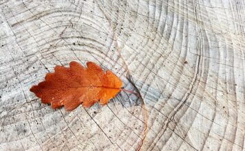 Jak dobrać pierścienie do cylindra?