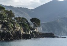 Ile kosztuje metr kwadratowy ściany z cegły?