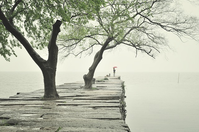 Ile kosztuje 1 krawężnik? Ile kosztuje 1 krawężnik?