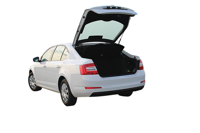 Ile kosztuje Skoda Kodiaq? Ile kosztuje Skoda Kodiaq?
